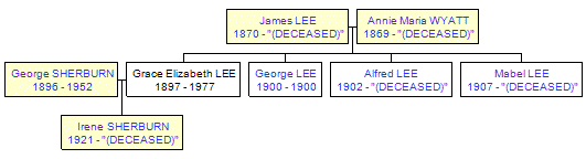 Mini tree diagram