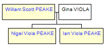 Mini tree diagram