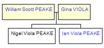 Mini tree diagram