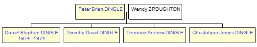 Mini tree diagram