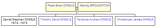 Mini tree diagram