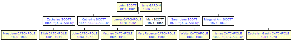 Mini tree diagram