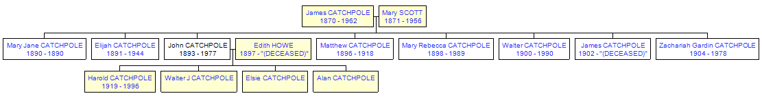 Mini tree diagram