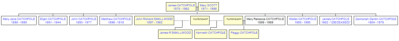 Mini tree diagram