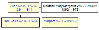 Mini tree diagram