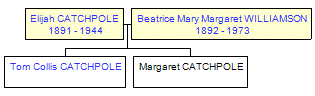 Mini tree diagram