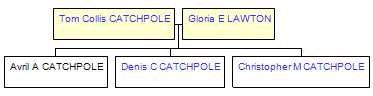 Mini tree diagram