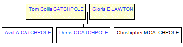 Mini tree diagram