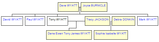 Mini tree diagram