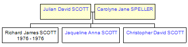 Mini tree diagram