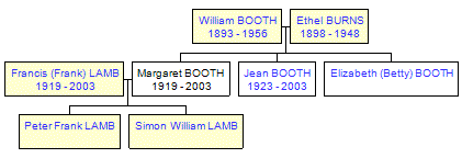 Mini tree diagram