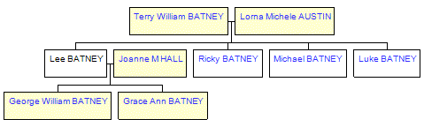 Mini tree diagram