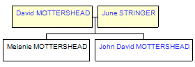 Mini tree diagram