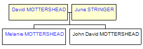 Mini tree diagram