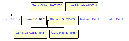 Mini tree diagram