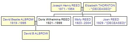 Mini tree diagram