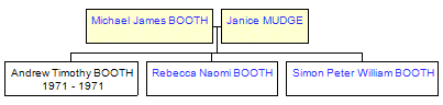 Mini tree diagram