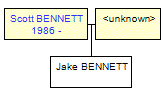 Mini tree diagram