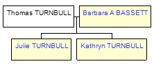 Mini tree diagram